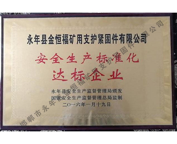 安全生產(chǎn)標(biāo)準(zhǔn)化達(dá)標(biāo)企業(yè)