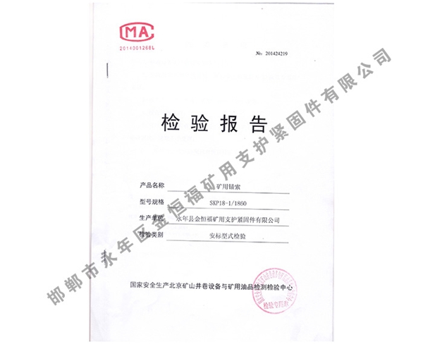 檢驗(yàn)報(bào)告 (1)