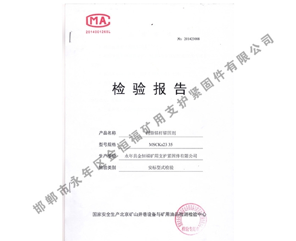 檢驗(yàn)報(bào)告 (2)