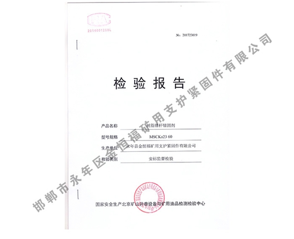 檢驗(yàn)報(bào)告 (3)