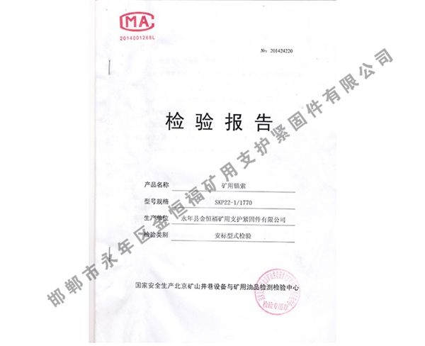 檢驗(yàn)報(bào)告 (4)