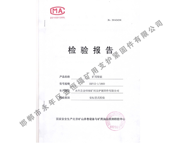 檢驗(yàn)報(bào)告 (5)