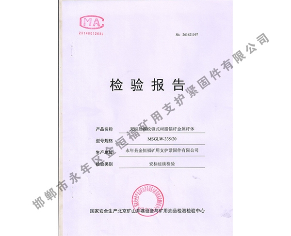 檢驗(yàn)報(bào)告 (9)