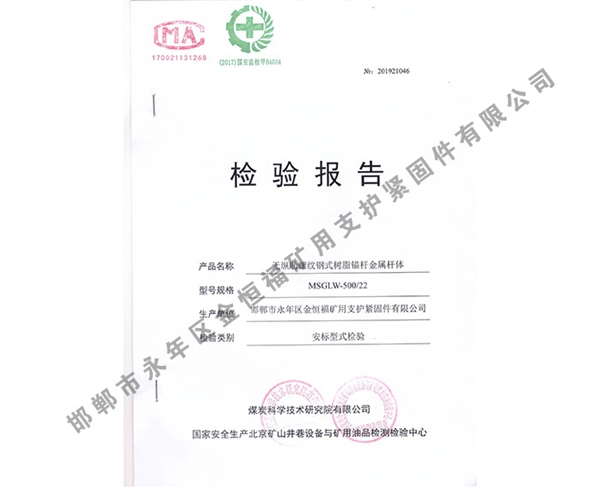 檢驗(yàn)報(bào)告 (10)