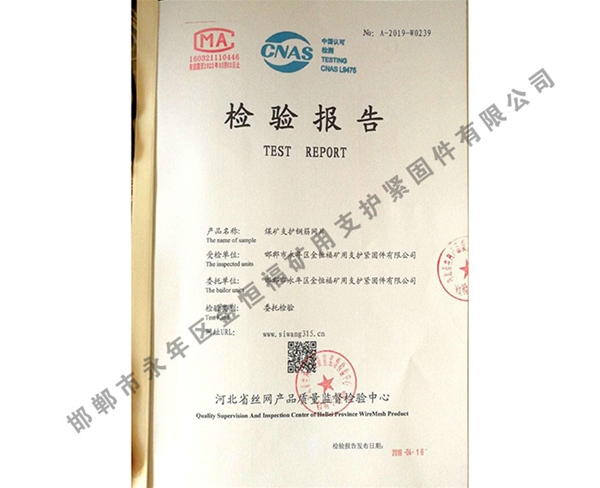 檢驗(yàn)報(bào)告 (11)
